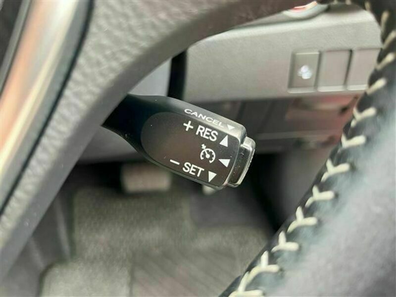 AURIS