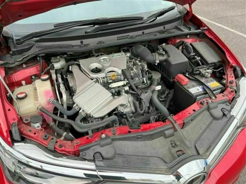 AURIS