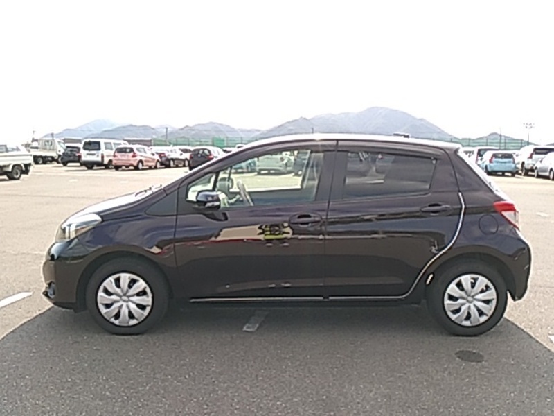 VITZ-10