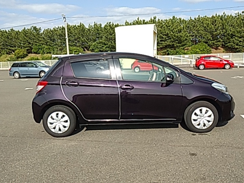 VITZ-3