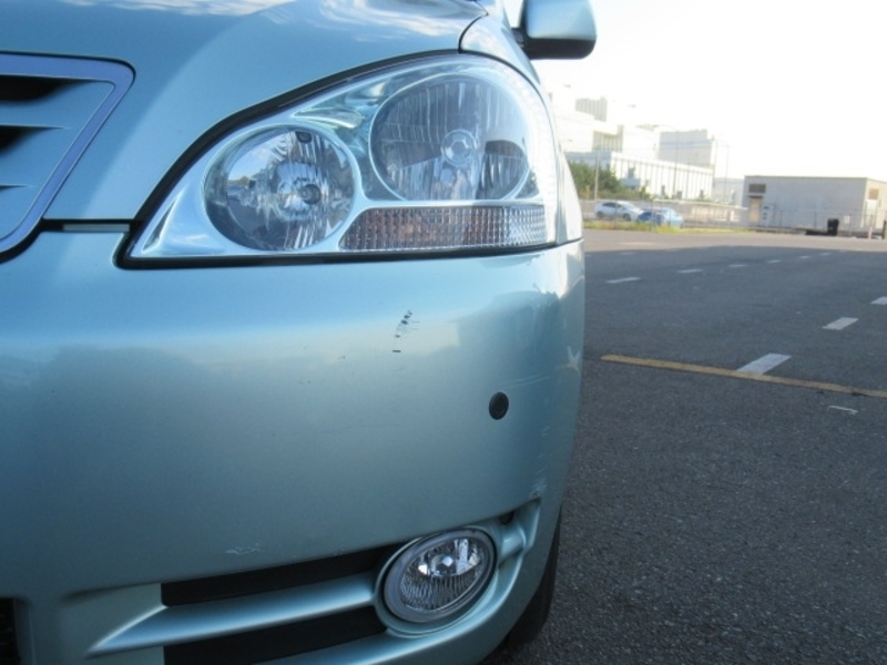 IPSUM