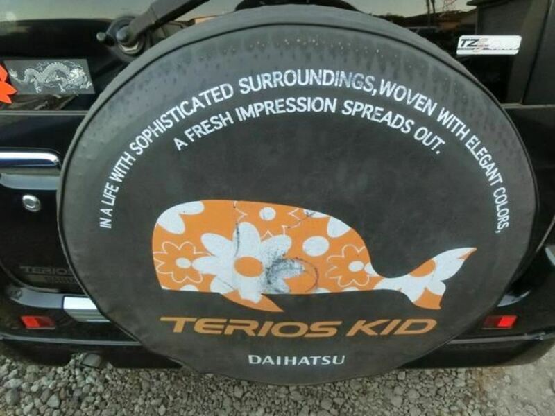 TERIOS KID-25