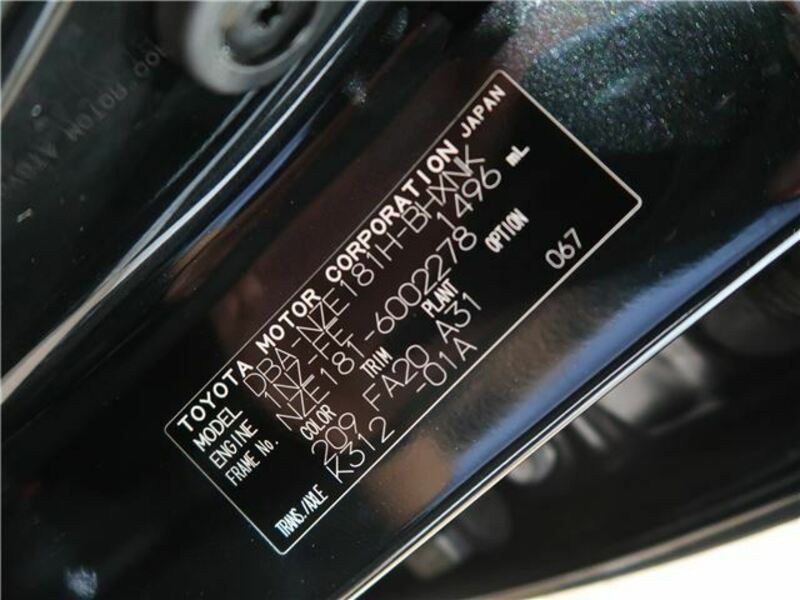 AURIS