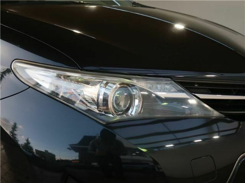 AURIS