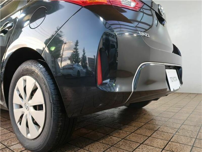 AURIS