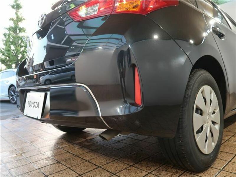 AURIS