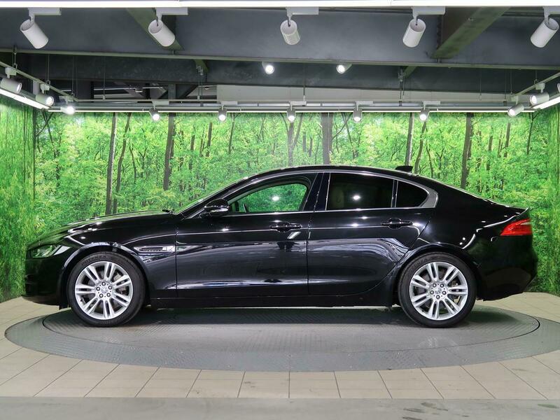 XE-6