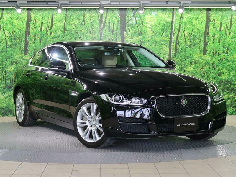 XE-41