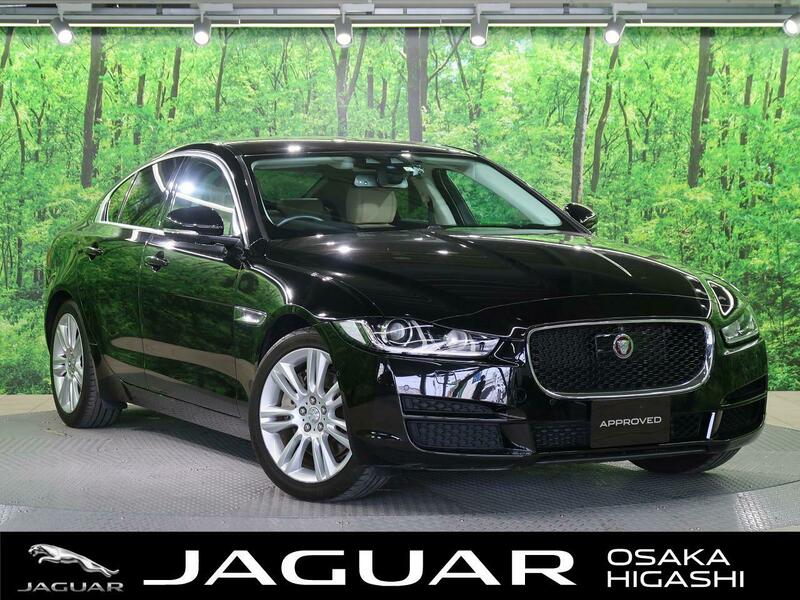 XE-61