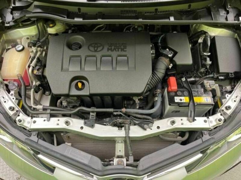 AURIS