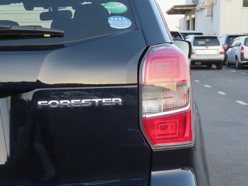 FORESTER-10