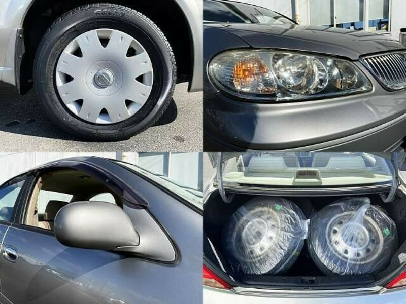 BLUEBIRD SYLPHY