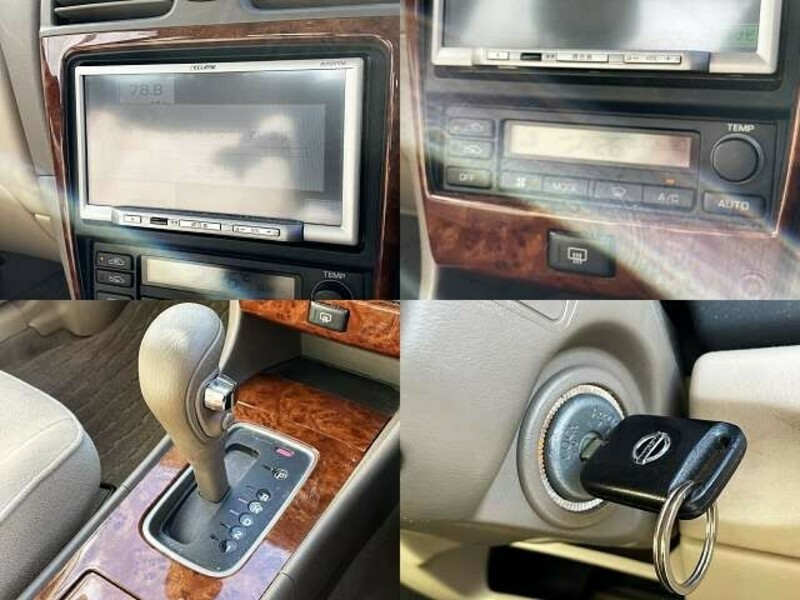 BLUEBIRD SYLPHY