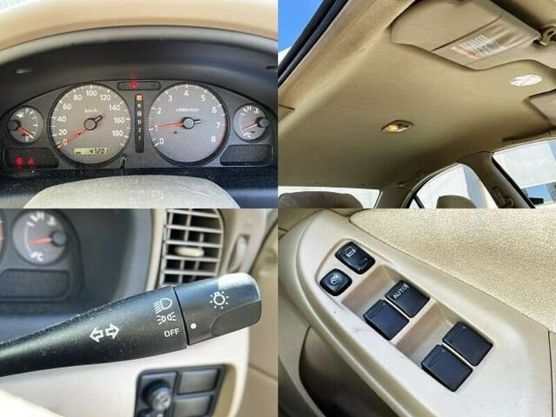 BLUEBIRD SYLPHY