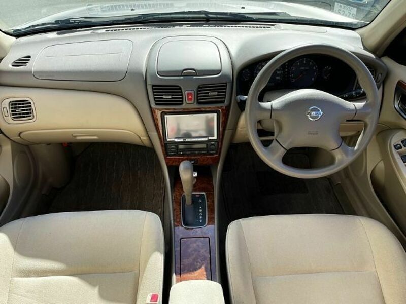 BLUEBIRD SYLPHY