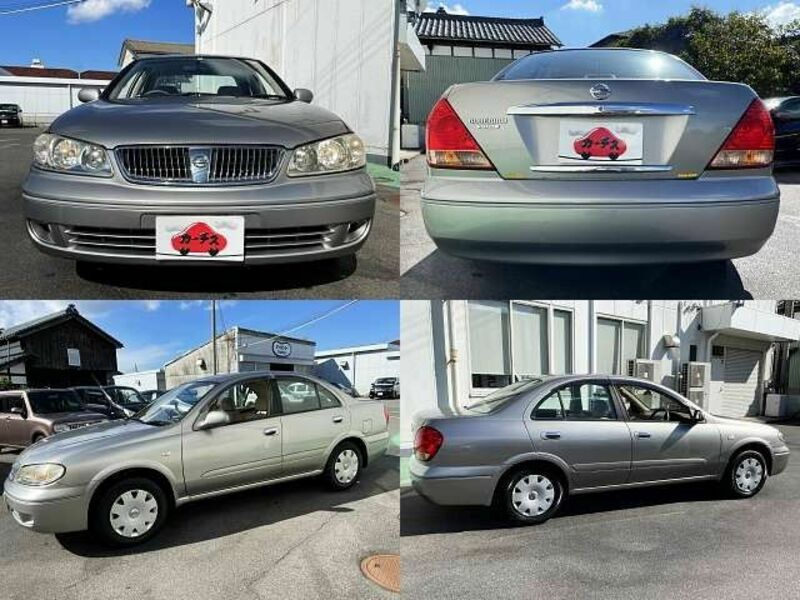 BLUEBIRD SYLPHY