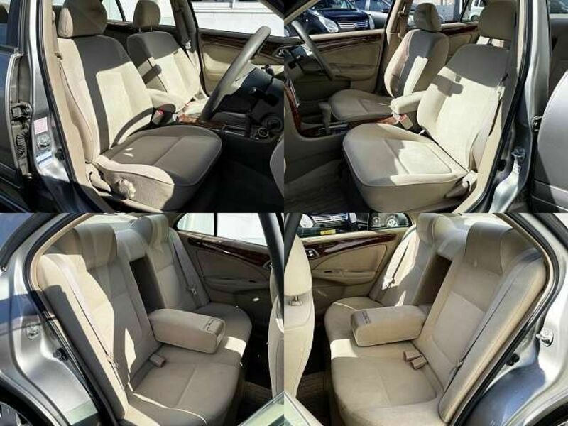 BLUEBIRD SYLPHY