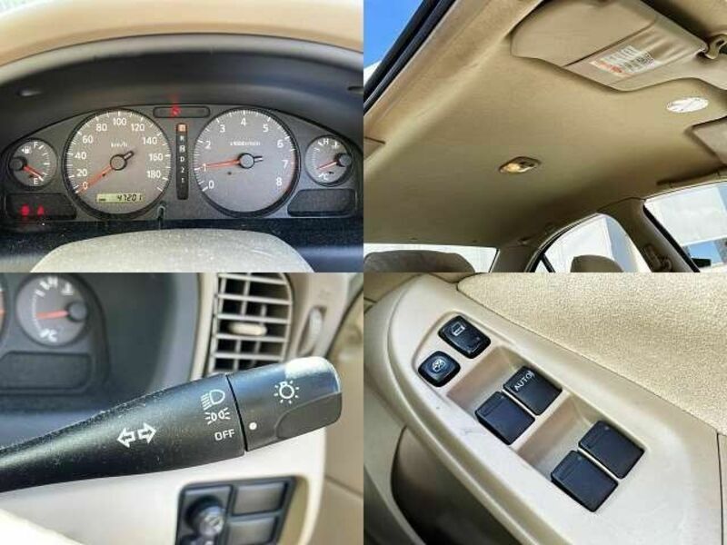 BLUEBIRD SYLPHY