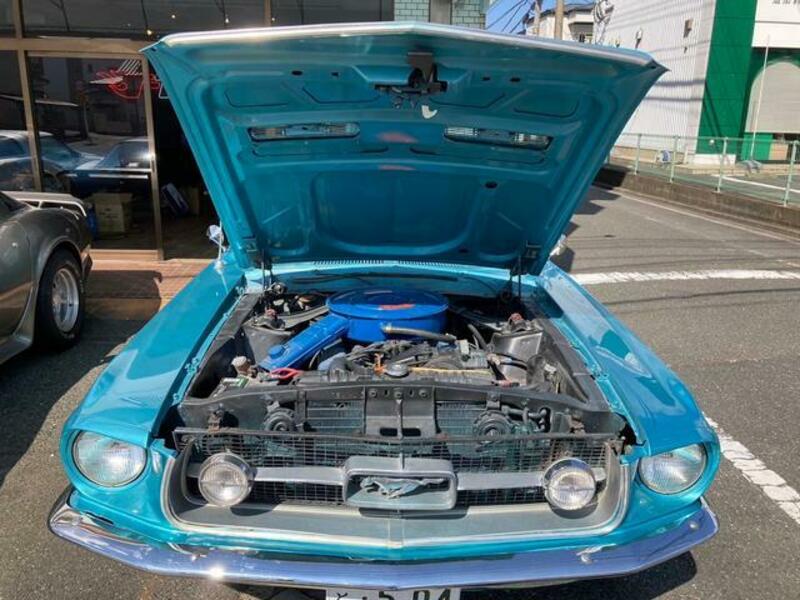 MUSTANG