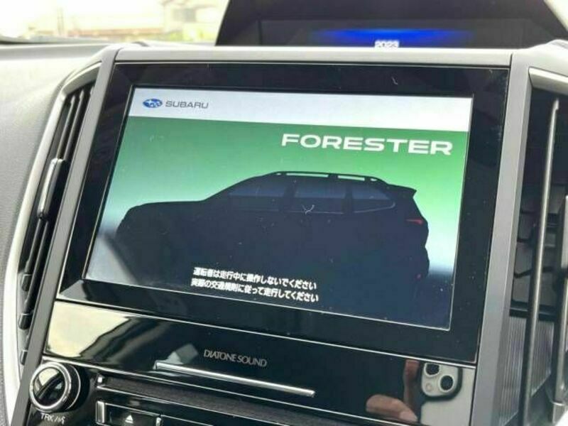 FORESTER