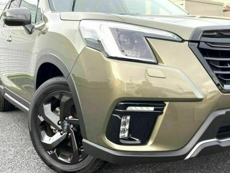 FORESTER
