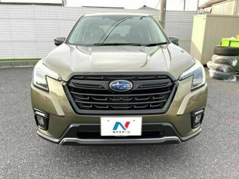 FORESTER