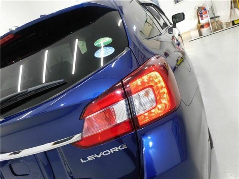 LEVORG-7