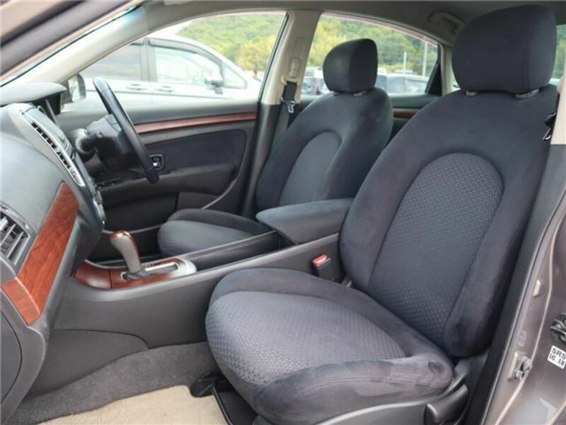 BLUEBIRD SYLPHY