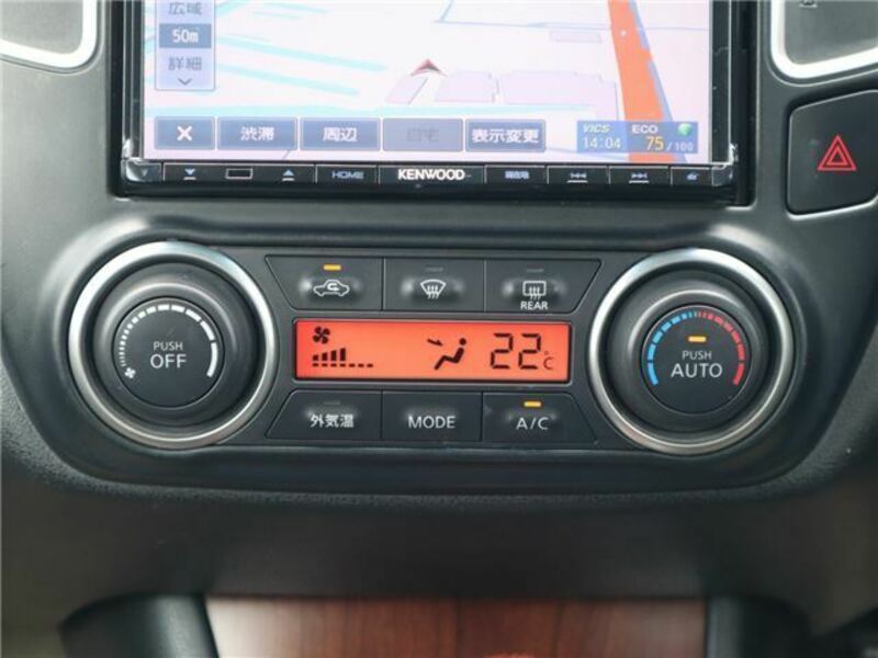BLUEBIRD SYLPHY