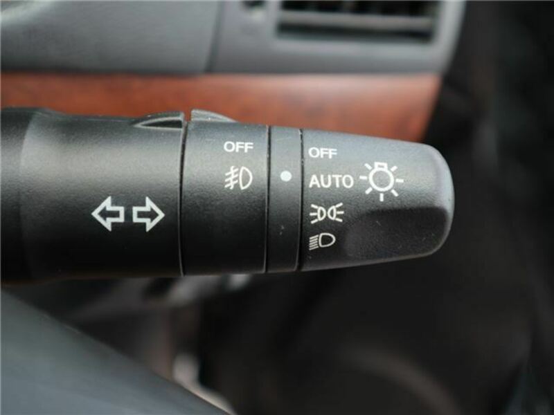 BLUEBIRD SYLPHY