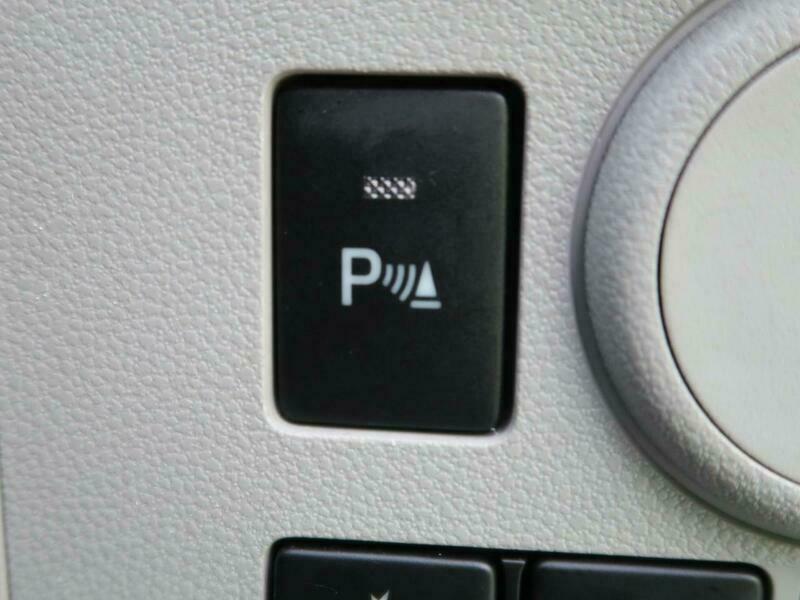 PLEO PLUS
