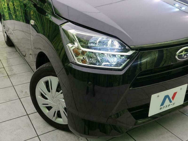 PLEO PLUS