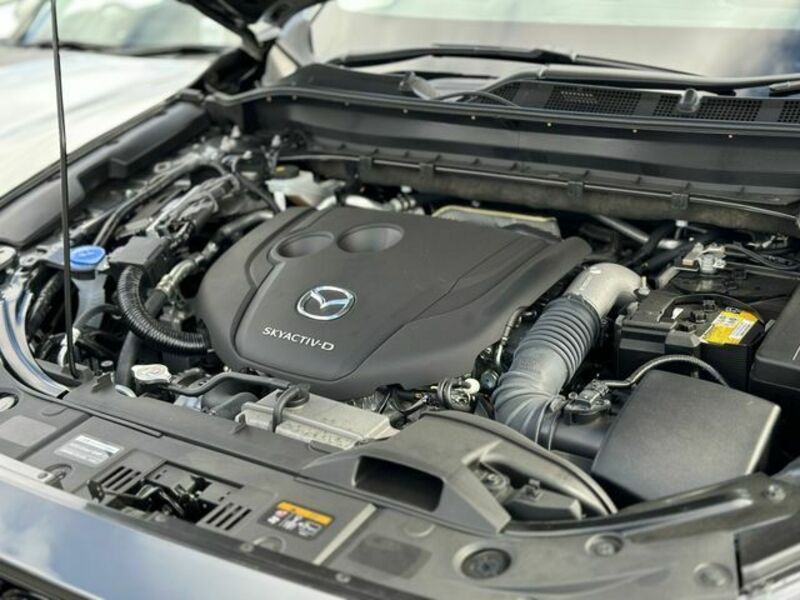 CX-5-29