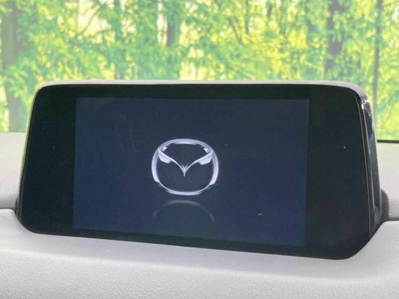 CX-8-2