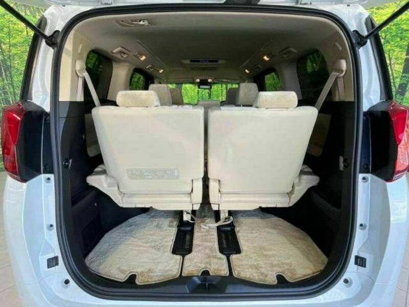 ALPHARD-11