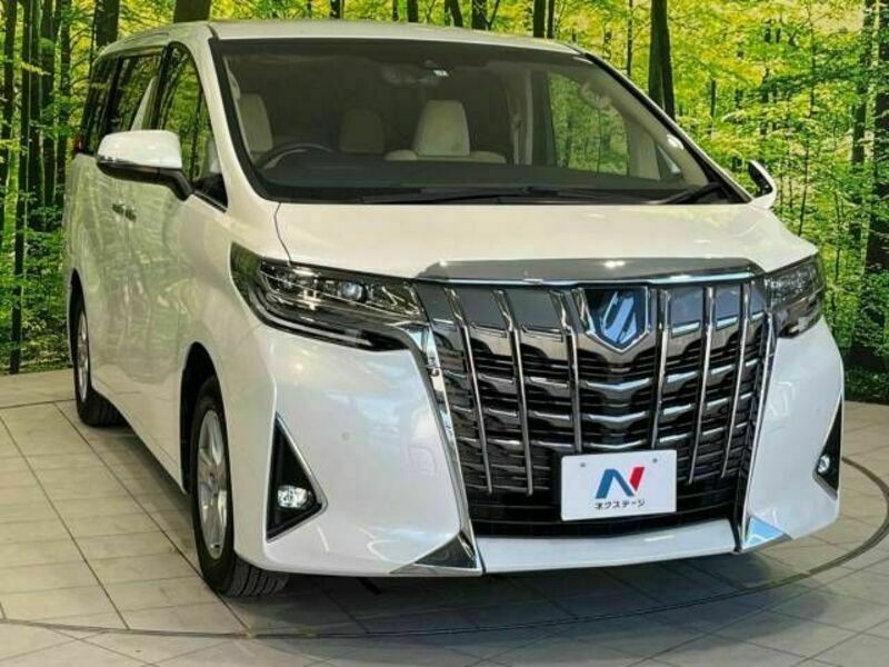 ALPHARD-16