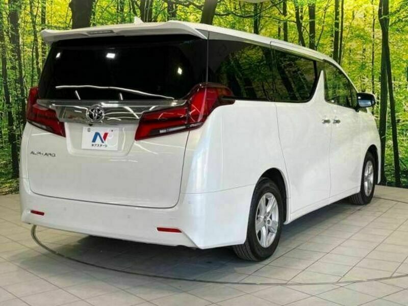 ALPHARD-17