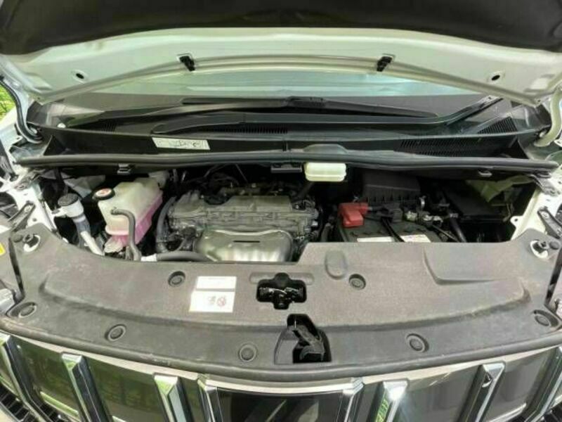 ALPHARD-18