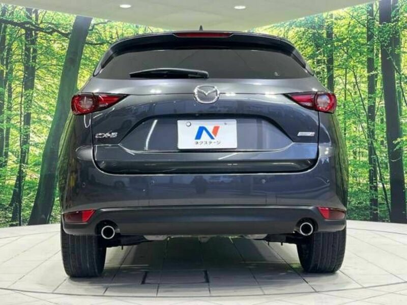 CX-5-15