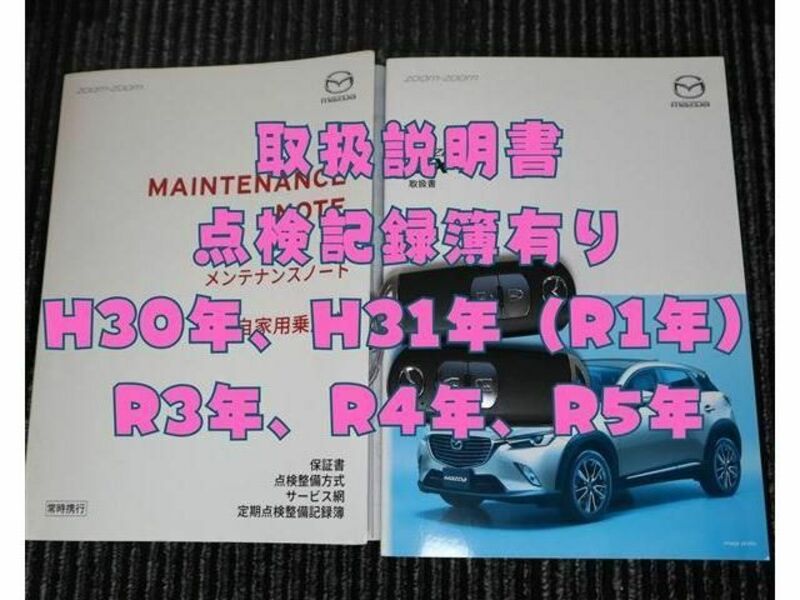 CX-3-10