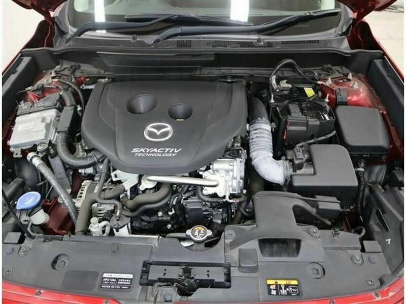 CX-3-13