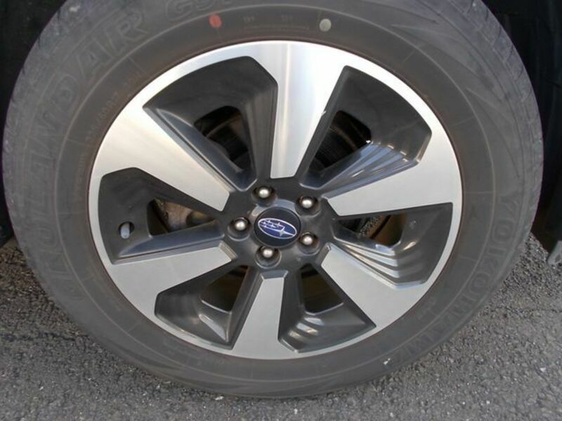 FORESTER-3