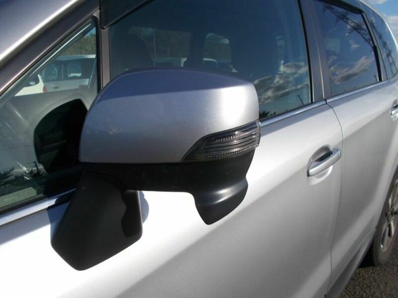 FORESTER-5
