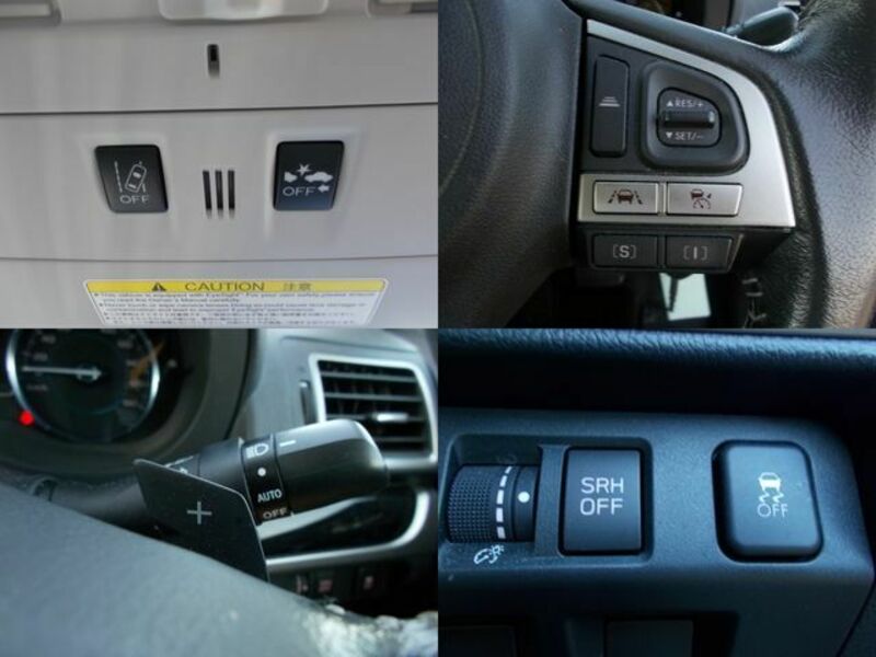 FORESTER-11