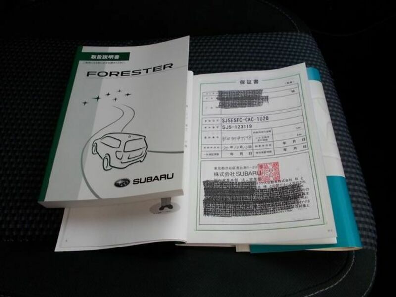 FORESTER-21