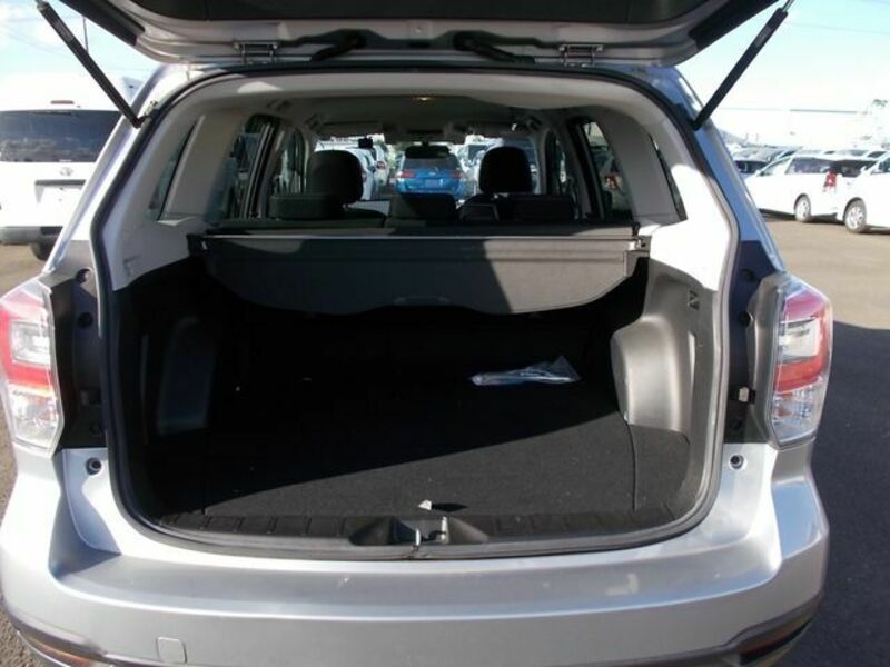 FORESTER-24