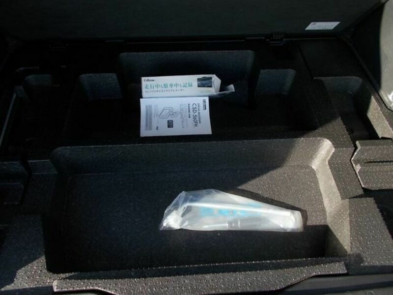 FORESTER-25