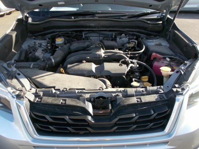 FORESTER-27