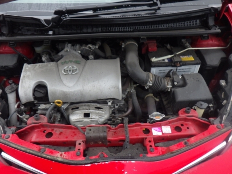 VITZ-3