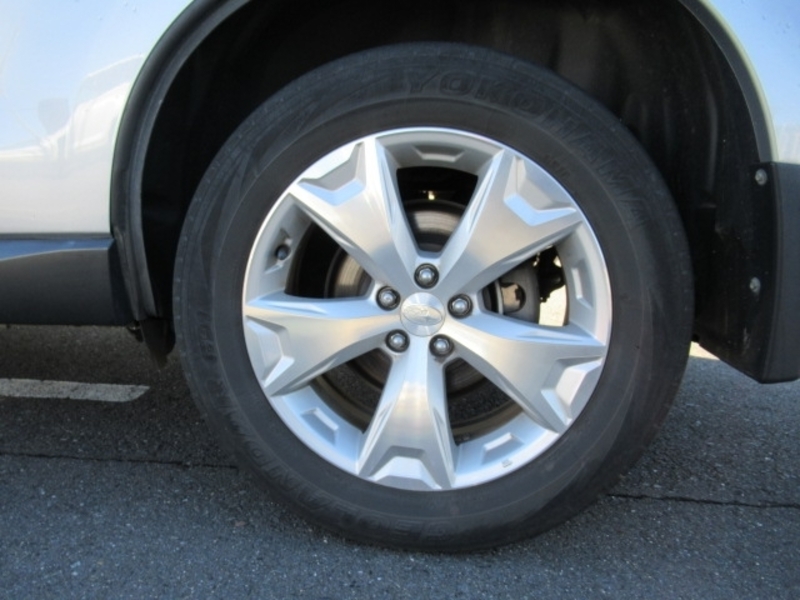 FORESTER-7